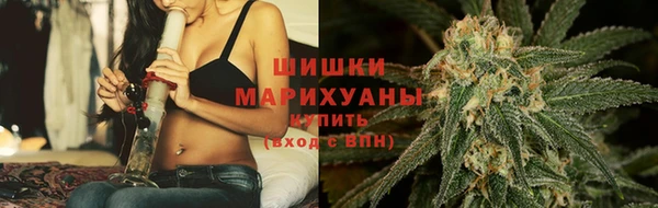 бошки Алексин