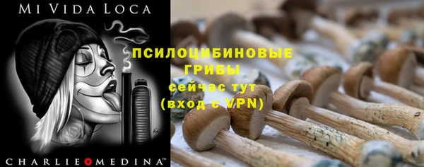 бошки Алексин
