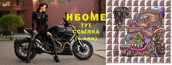 бошки Алексин