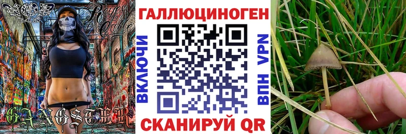 Псилоцибиновые грибы Magic Shrooms  ссылка на мегу как войти  Орлов 