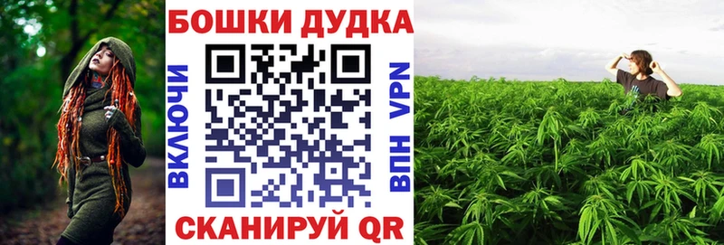 Марихуана гибрид  Орлов 